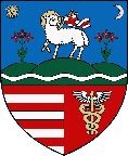 sarvasarS